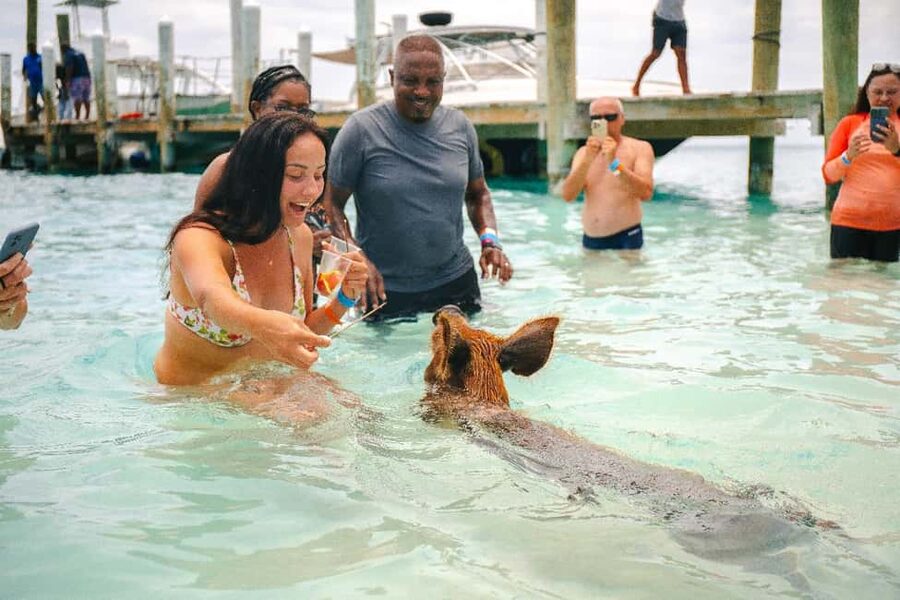 Nassau: Rose Island's Sand Dollar Beach Resort - Nassau to Rose Island, with a pig-watching plan you can actually use