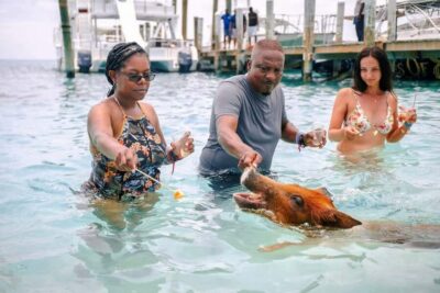 Rose Island Swimming Pigs and Beach Day Group Tour