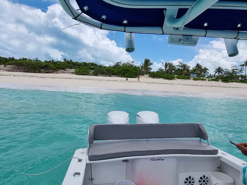 Nassau: Rose Island Swimming Pigs & Turtles Snorkeling Tour - Why This Nassau to Rose Island Day Feels Like Real Bahamas Fun