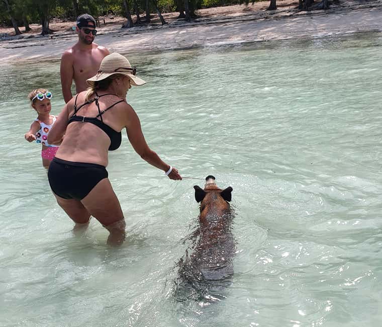 Nassau: Rose Island Swimming Pigs & Turtles Snorkeling Tour - Sandy Cay and the Gilligan’s Island Film-Set Feeling