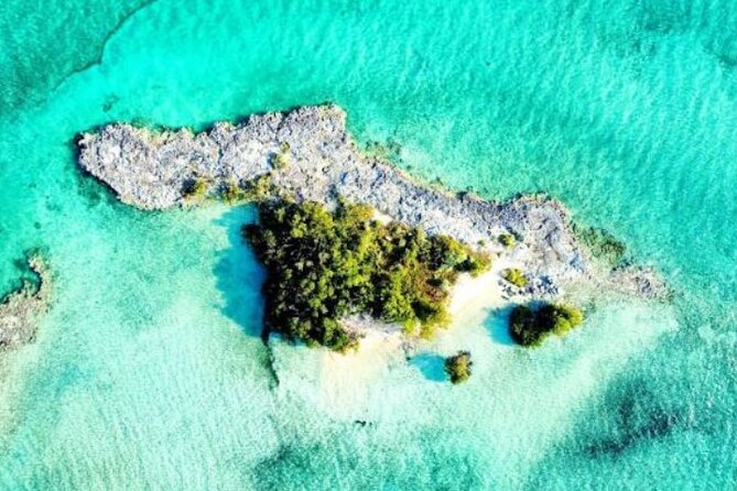Nassau's Exclusive Kayaking Snorkeling Beach Adventure (6 Max) - Price and value: what $230 buys you in the real world