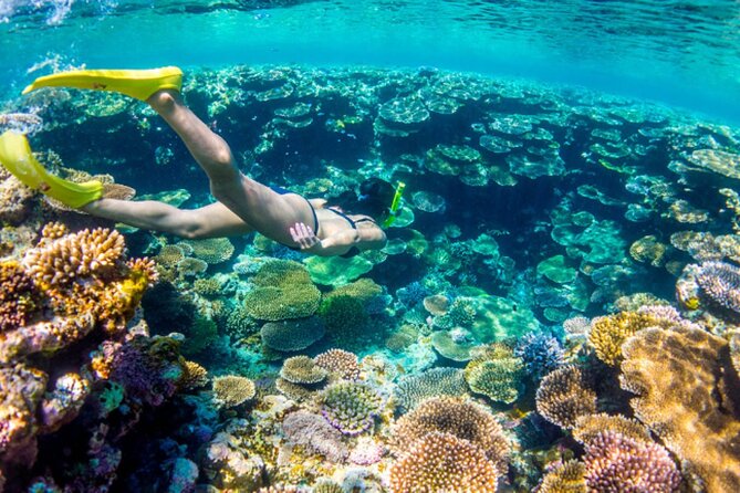 Nassau Sail & Snorkel Adventure with 1 Hour Open Bar - Nassau sail and snorkel on a catamaran, what you are really buying