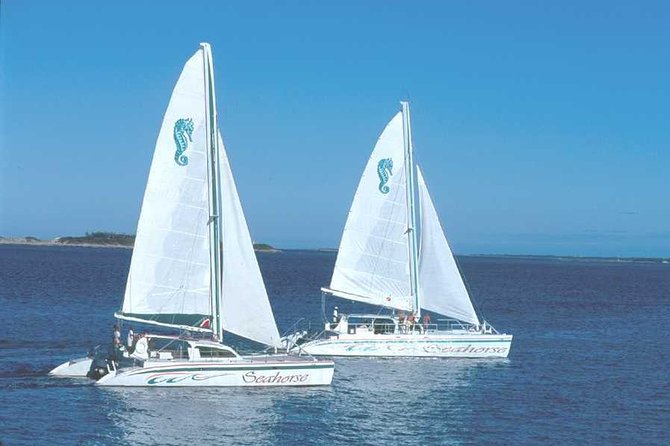 Nassau Sail & Snorkel Adventure with 1 Hour Open Bar - Snorkeling at Athol Island: gear, safety, and what you will likely see