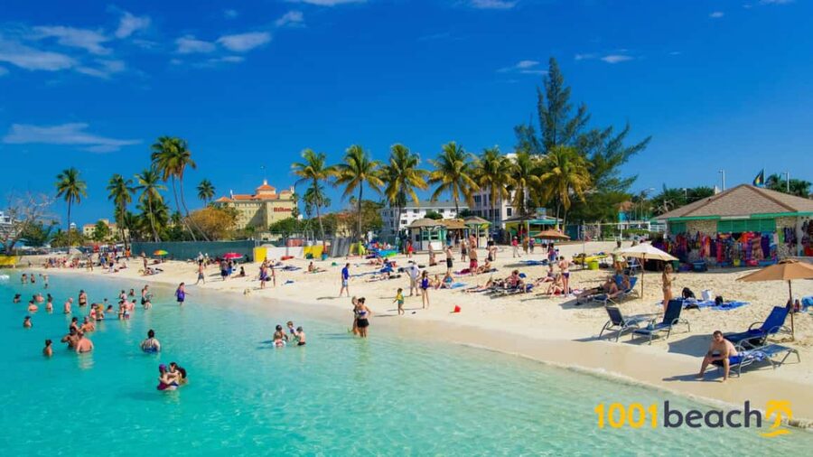Nassau: Self Drive Speed Boat & Guided ATV Tour + Free Lunch - The guide factor: Toni vs Julie, and why it matters on a combo day