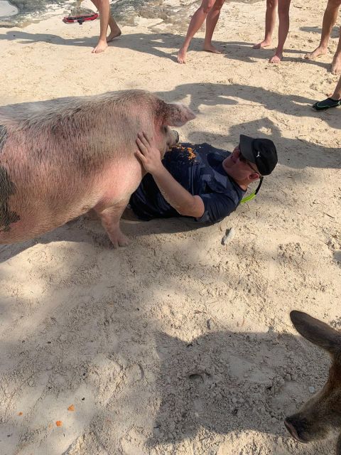 Nassau: Self-Drive Speedboat Ride and Pig Swimming Encounter - Snorkeling Time: What You Get Under the Surface
