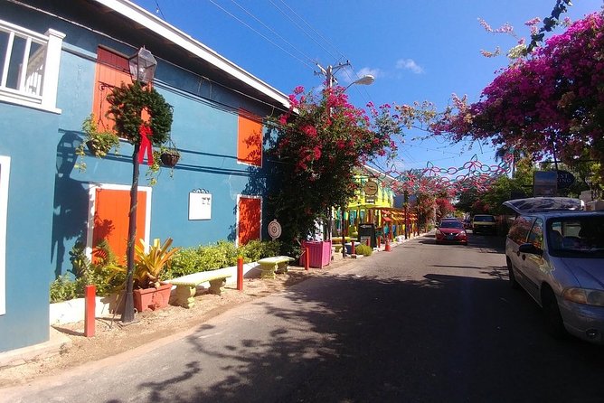 Nassau Shore Excursion: Sightseeing and Snorkeling Tour - A 5.5-hour Nassau mix of landmarks, chocolate, and reef time