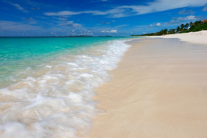 Nassau Shore Excursion: Sightseeing and Snorkeling Tour - Meeting at the port, finding your guide, and keeping the day stress-free