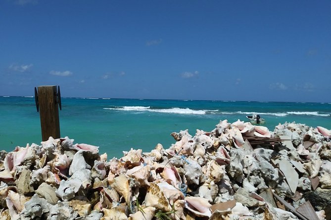 Nassau Shore Excursion: Sightseeing and Snorkeling Tour - Queen’s Staircase and Bennet’s Hill: the Nassau climbs that feel real