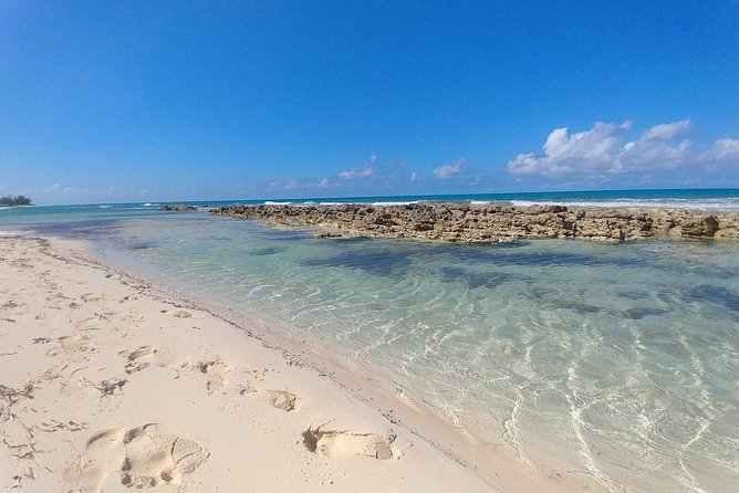 Nassau Shore Excursion: Sightseeing and Snorkeling Tour - Price and what you actually get for $220