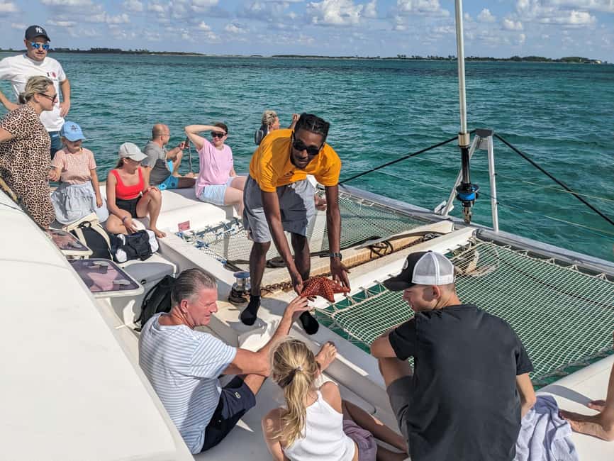 Nassau: Snorkeling, Pig Beach, Swim with Turtles, and Lunch - Key things that make this Nassau day trip worth your time