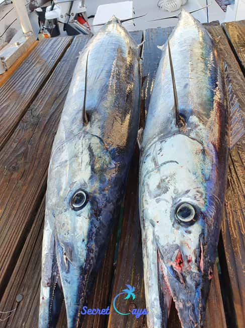Nassau: Sport-fishing private charter . - Who should book this Nassau charter, and who might skip it