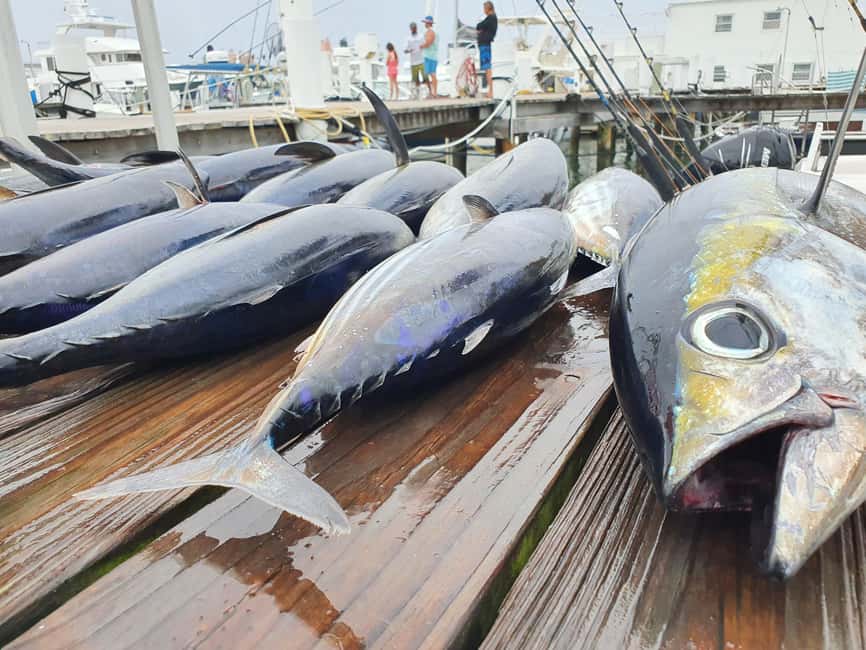 Nassau: Sport-fishing private charter . - Why Captain Javano’s Nassau charter feels different than a normal boat trip