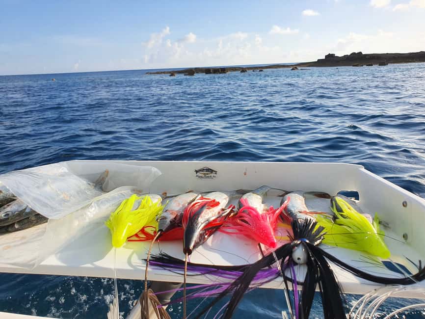 Nassau: Sport-fishing private charter . - What actually happens during the 4 hours on the water