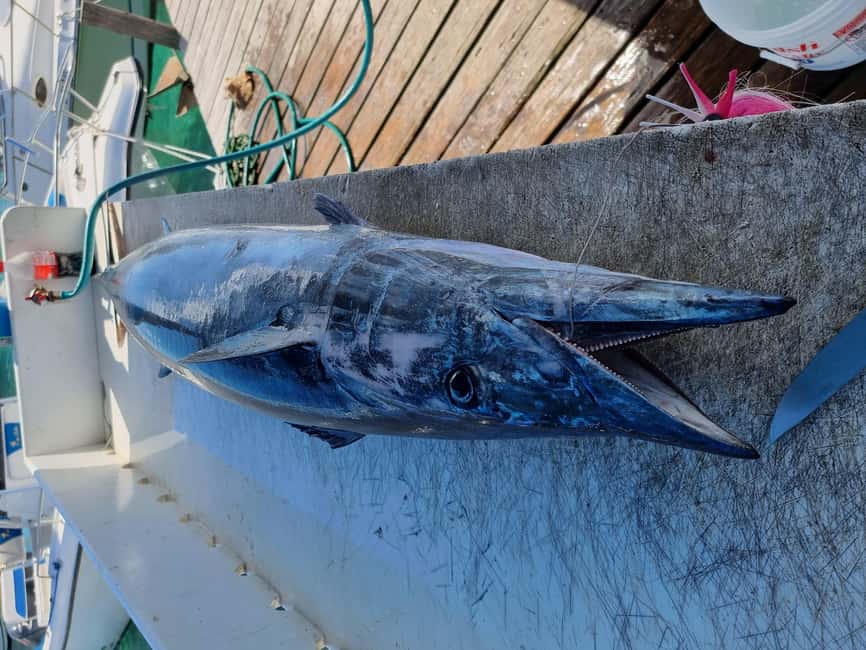 Nassau: Sport-fishing private charter . - The boat experience, comfort level, and what to watch for
