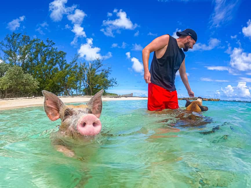 Nassau: Sun Cay and Swimming Pigs Boat Trip with Lunch - Your half-day Nassau plan: pigs first, then white sand at Sun Cay