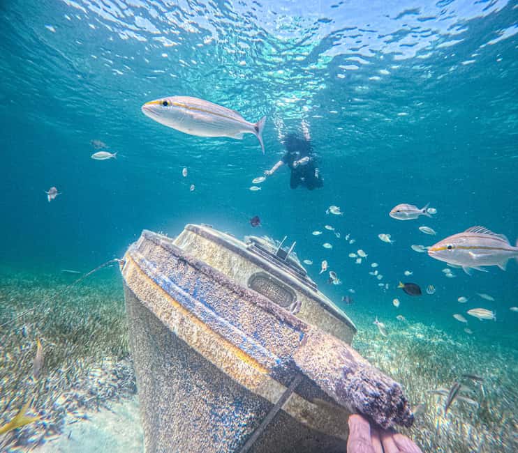 Nassau: Sun Cay Day Trip, Snorkel, Iguana Encounter, & Lunch - Key Things To Know Before You Go