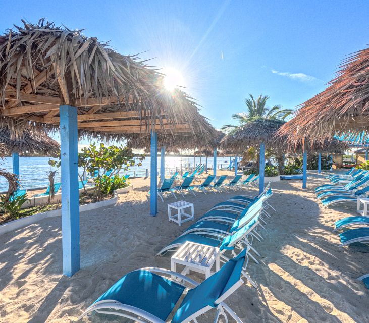 Nassau: Sun Cay Day Trip, Snorkel, Iguana Encounter, & Lunch - Practical Tips: What To Bring, What To Avoid, And How Rain Changes Nothing