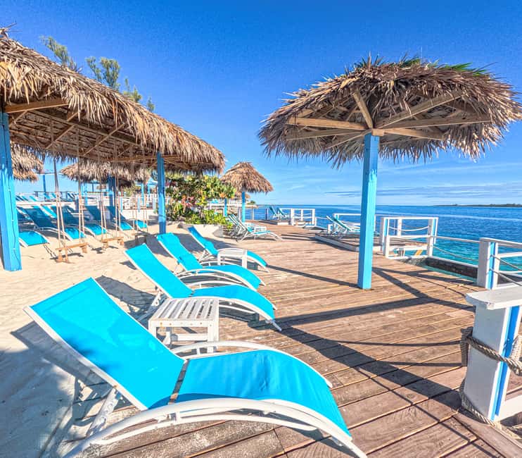 Nassau: Sun Cay Day Trip, Snorkel, Iguana Encounter, & Lunch - Guided Snorkeling Over Underwater Sculptures, Wrecks, And An Airplane
