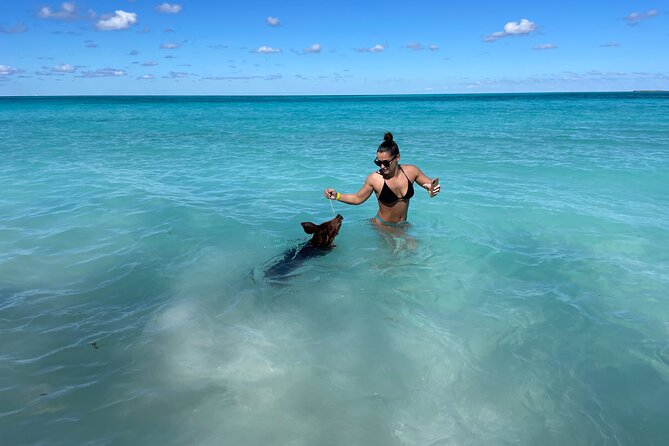 Nassau: Swimming Pigs And Snorkel With Turtles - Kayaks, paddleboards, and how to use your time at Rose Island