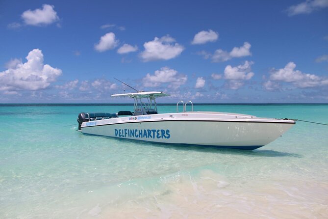 Nassau: Swimming Pigs And Snorkel With Turtles - Green Cay stop: shallow snorkeling with sea turtles and stingrays