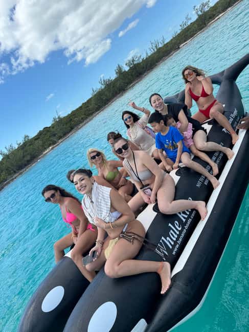 Nassau: Swimming Pigs and Turtles Boat Tour with Snorkeling - Key Highlights That Make This Tour Worth Your Time