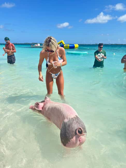 Nassau: Swimming Pigs and Turtles Boat Tour with Snorkeling - Should You Book This Swimming Pigs and Turtles Tour?