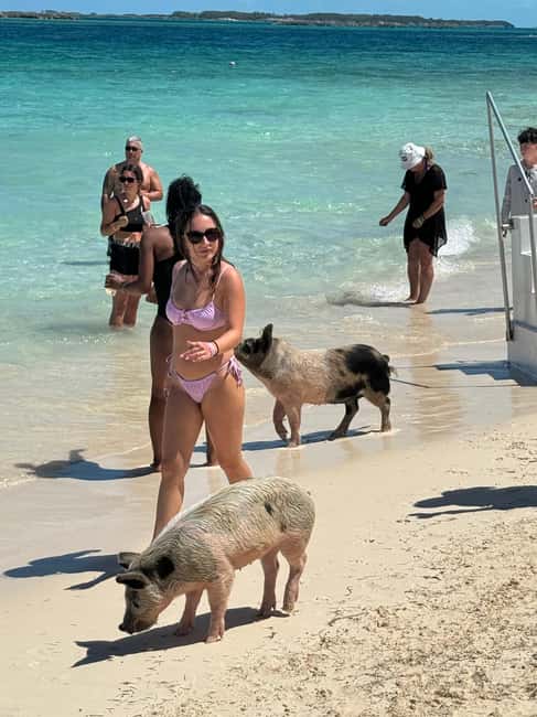 Nassau: Swimming Pigs and Turtles Boat Tour with Snorkeling - Athol Island Swimming Pigs: Photo Time With Real Animal Respect