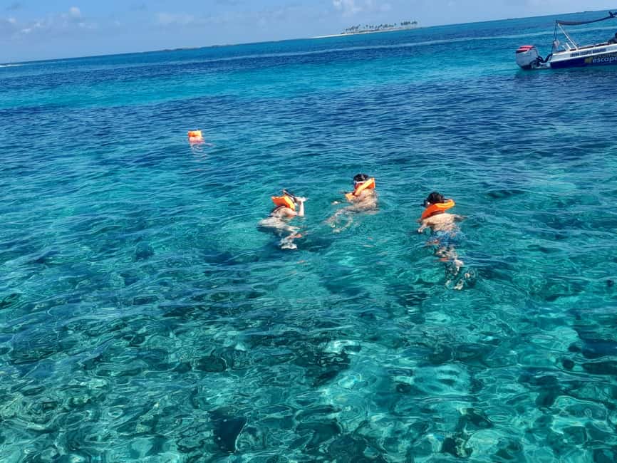 Nassau: Swimming Pigs Private Boat Tour - Up to 7 Persons - Key Things to Know Before You Go