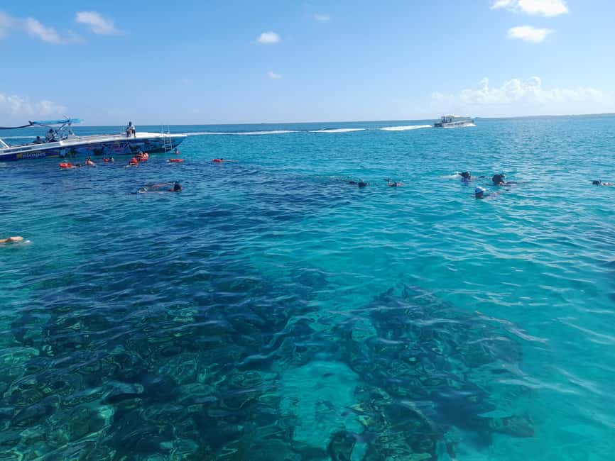 Nassau: Swimming Pigs Private Boat Tour - Up to 7 Persons - Meeting at Elizabeth on Bay, Then a Quick Nassau Cruise