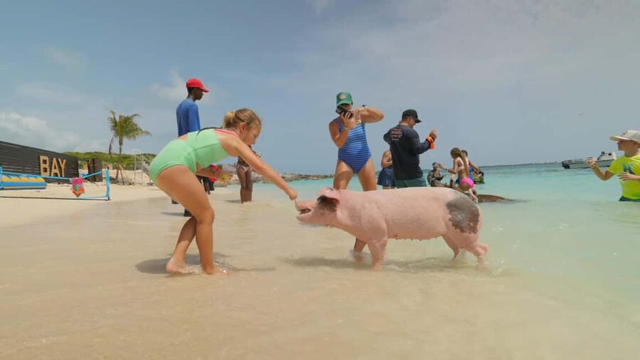 Nassau: Swimming Pigs, Snorkeling, Lunch, & Beach Boat Tour - Beach Time at the Private Island: Games, Kayaks, and the Rum Punch Factor