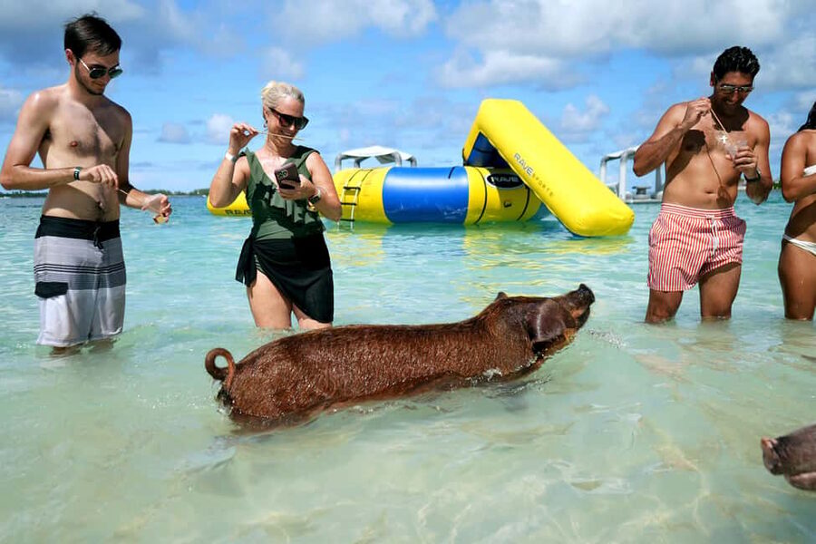 Nassau: Swimming Pigs, Snorkeling, Lunch, & Beach Boat Tour - Getting to Bahamas Jet Boat in Nassau Without Stress