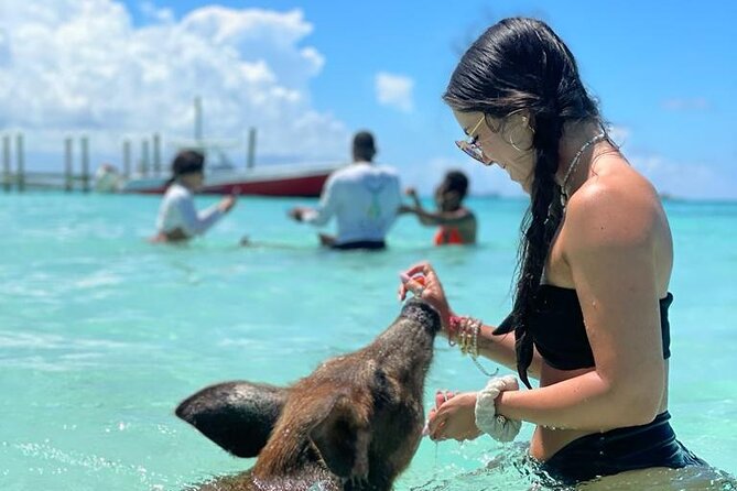 Nassau Swimming Pigs: Snorkeling, Lunch & Private Beach Club - Lunch, rum punch, and beach comfort on a private shoreline