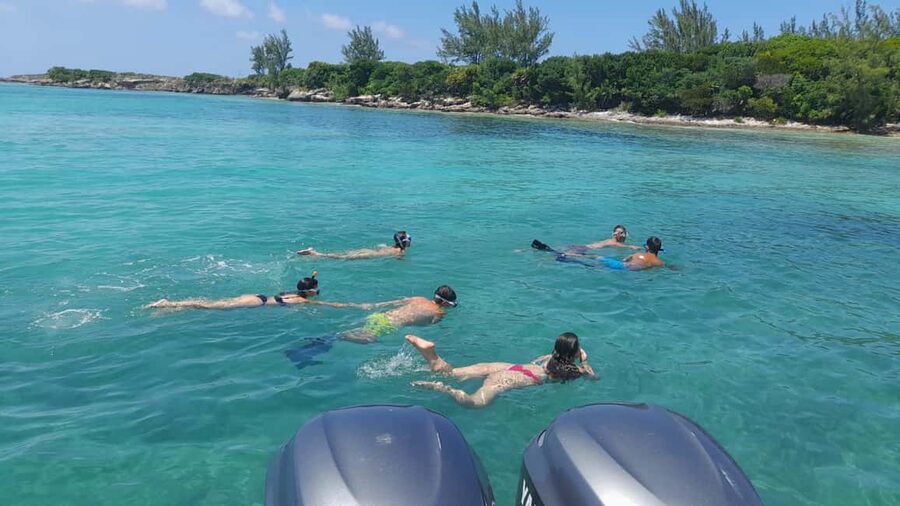 Nassau: Swimming with Pigs, Snorkeling, and Sightseeing Tour - Nassau sightseeing, swimming breaks, and wildlife spotting