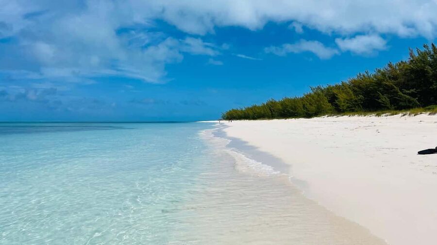Nassau: Swimming with Pigs, Snorkeling, and Sightseeing Tour - Snacks, drinks, and the small comforts that make it feel easy