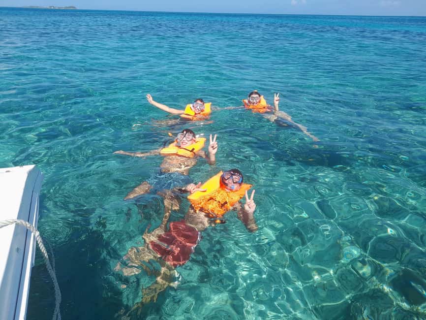 Nassau: Swimming with Pigs, Snorkeling, and Sightseeing Tour - Price and what you truly get for $150 per person