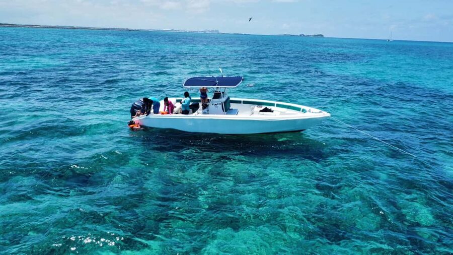 Nassau: Swimming with Pigs, Snorkeling, and Sightseeing Tour - Who should book, and who should skip