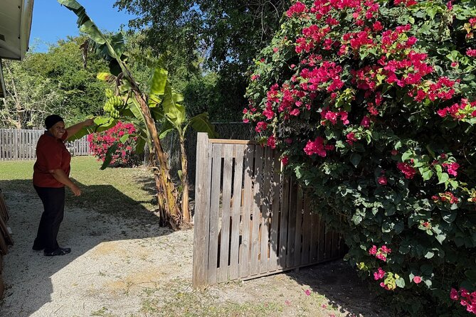 NEW! Authentic Bahamian Cooking and Cocktails with Transfers - The welcome cocktail and why the opening matters