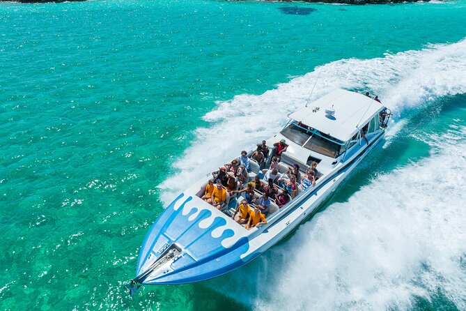 Original Exuma Powerboat Adventures - Sharks, stingrays, and the feeding zone reality check