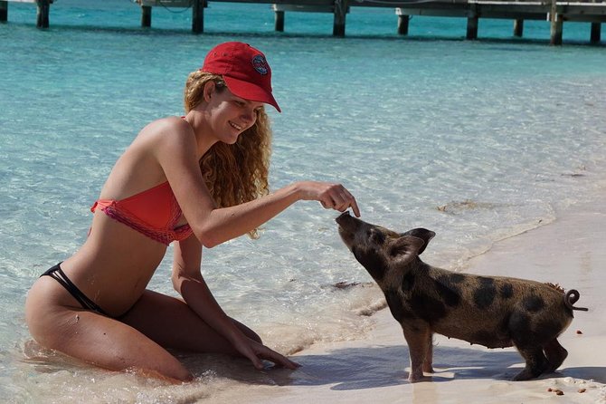 Original Exuma Powerboat Adventures - Ship Channel Cay: the private-island reset