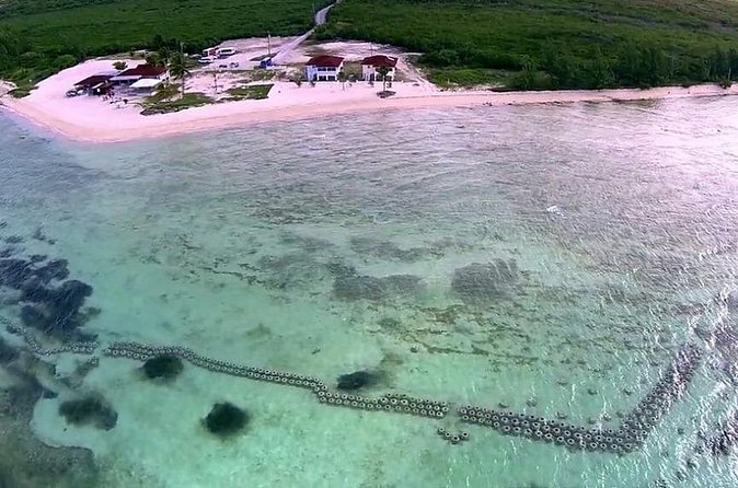 Paradise Cove Day Pass with Pickup from Freeport - Deadman’s Reef snorkeling: what you’re likely to see