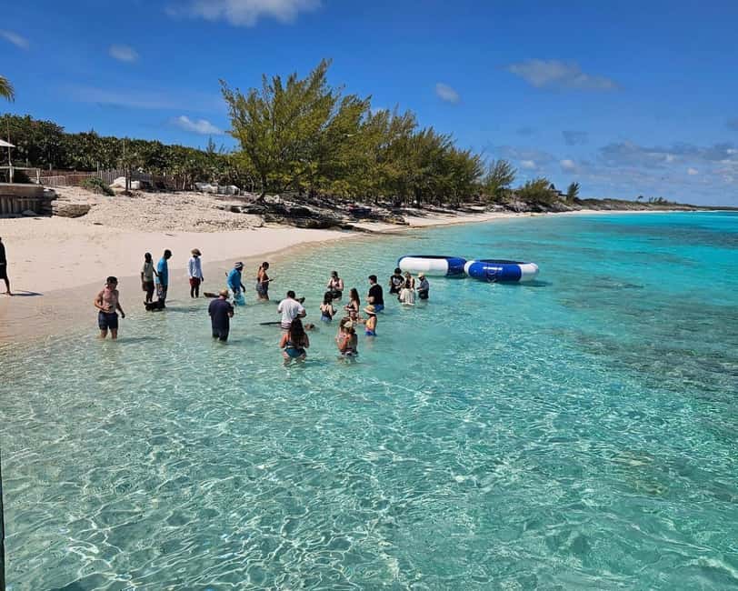 Paradise Found In Hog Haven: Ultimate Beach Escape - Rose Island in 4 hours, plus the pig factor