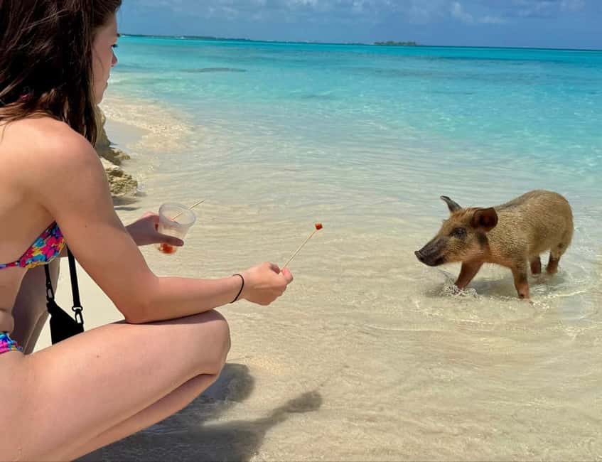 Paradise Found In Hog Haven: Ultimate Beach Escape - Once on Rose Island: beaches, cabanas, and how to claim your comfort