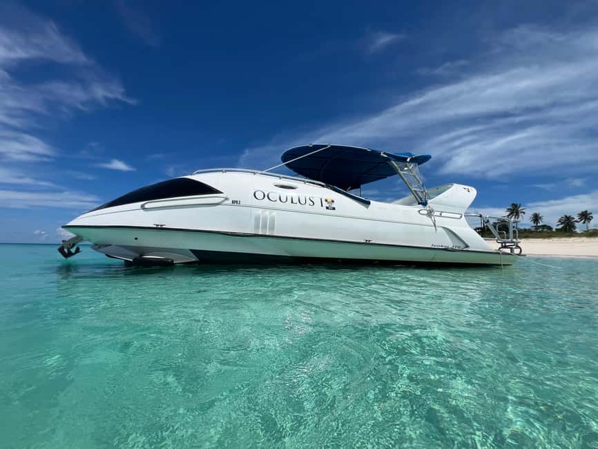 Paradise Island: Glass-Bottom Boat Tour with Live Commentary - What You’ll See Under the Waves Through the Glass Bottom