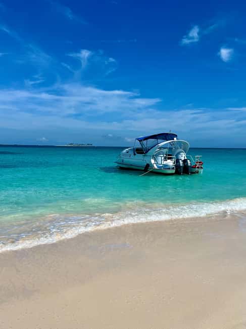 Paradise Island: Glass-Bottom Boat Tour with Live Commentary - Getting There: Fishing Dock Check-In on Paradise Island