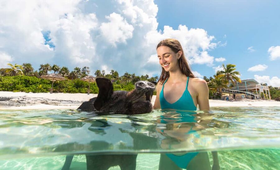 Paradise Island: Rose Island Tour with Swimming Pigs & Lunch - Key Things That Make This Tour Fun
