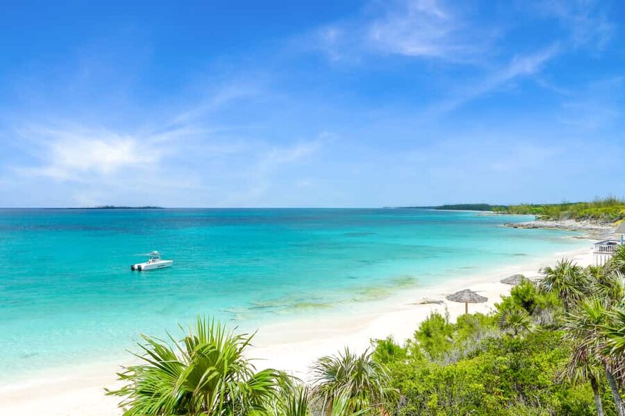 Paradise Island: Rose Island Tour with Swimming Pigs & Lunch - Lunch at Lower Harbor: Buffet Food, Pavilion Views, and Drinks by the Beach