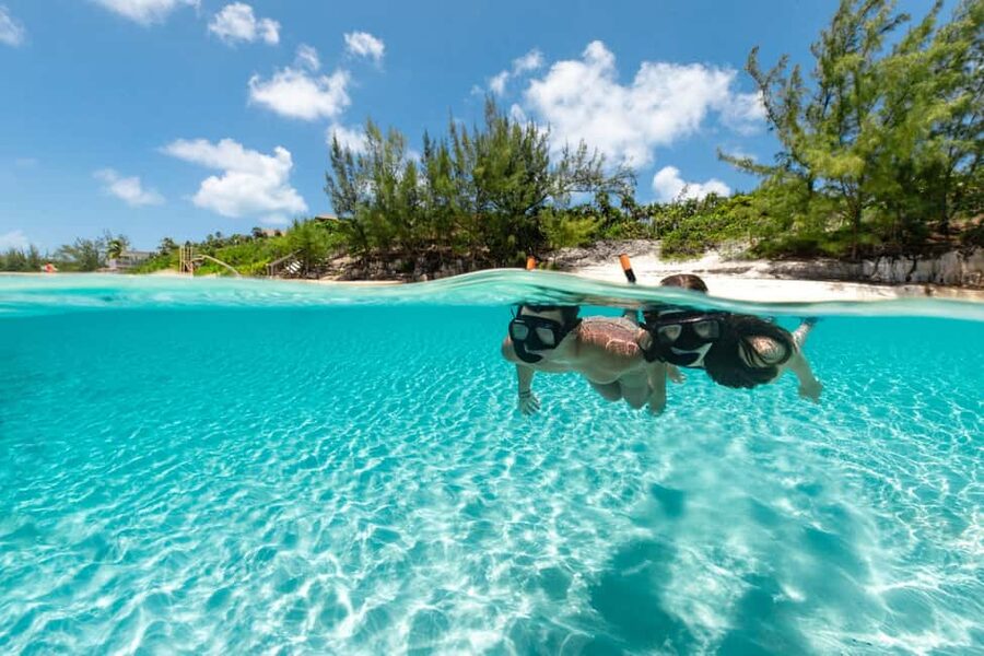 Paradise Island: Rose Island Tour with Swimming Pigs & Lunch - Price and Value at $252: What You’re Really Paying For