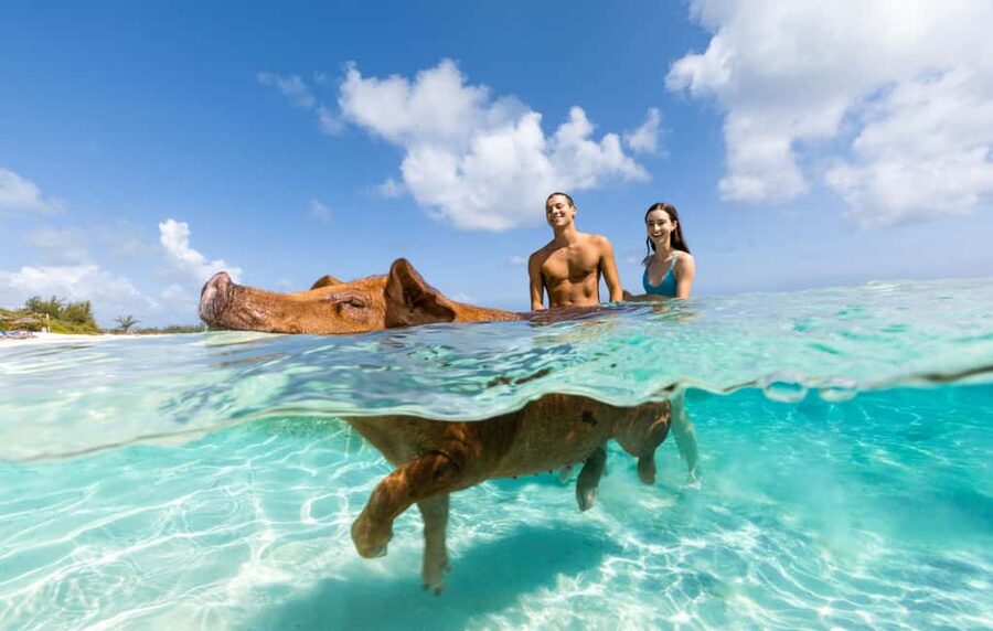 Paradise Island: Rose Island Tour with Swimming Pigs & Lunch - The Private Beach Part: Where the Day Actually Happens