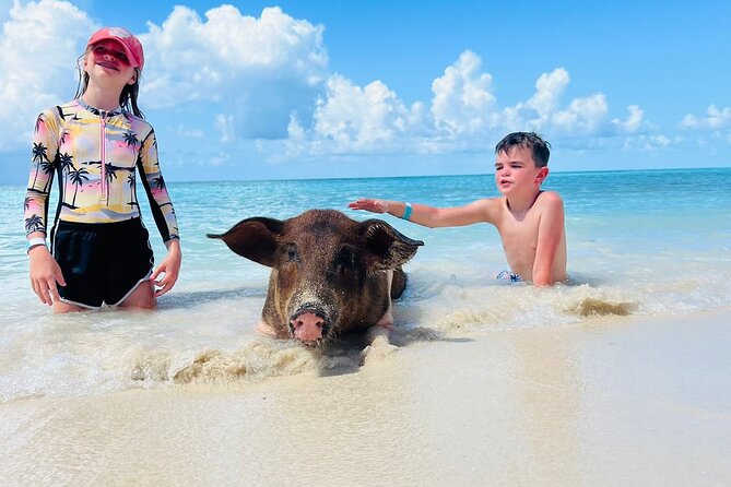 Perfect Day Swimming Pigs, Turtles, Reef Snorkel & Lunch - Getting From Nassau to Real Bahamas Water in About 4 Hours