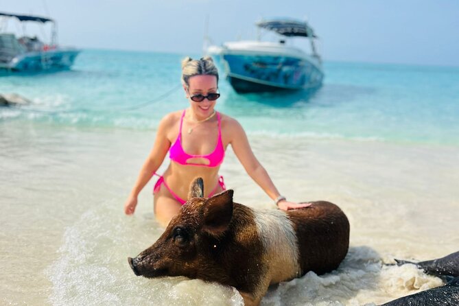 Perfect Day Swimming Pigs, Turtles, Reef Snorkel & Lunch - Pig Feeding Is the Main Act, Not Pig Swimming